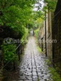 Somethings_in_rain