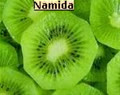namida_xx