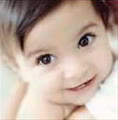 little_bee_bee