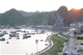 dahoang
