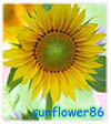 sunflower86