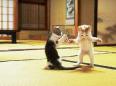 canhbayaikido