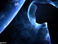 moon_cat