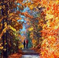 luong_tu_ngoc05