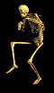 hangxom2000