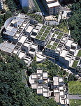 TadaoAndo