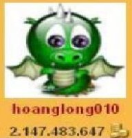 hoanglong010