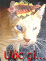 meomuthemcaran