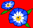 b_lu_to