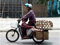 Kinh_Vo_Mang