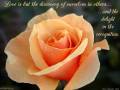 ruounhat0704