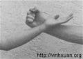 tinhyeuxanh