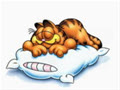 tieungoandong_chinhhieu