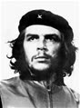 cheguevara140628