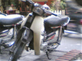 nguyentheninh