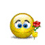 sunflower_nth