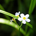 doi_thay