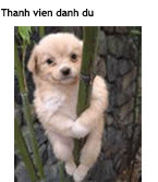 langtutln