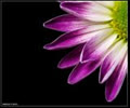 toi_khong_biet888