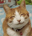 thaibinhmenyeu