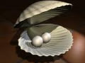 cockles