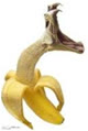 banana_numberone