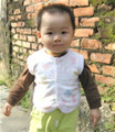 vungbienvang
