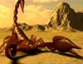 scorpion17205