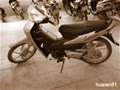 huaren81_2006