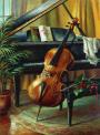 my_cello911
