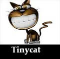 tinycat090
