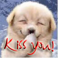 MyLovelyKitty