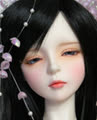 pear_purple_star