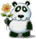 CucXinh__CucDu