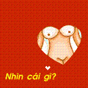 cucgach2006