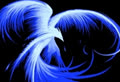 my_angle