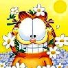 Iamgarfield