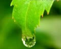 ngay_cuoi_cung_892006