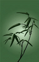 lambich_hien