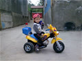 viathoang_ls