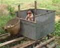 nguyenhoaiminh