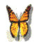 oanthikinh