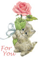 meochoe