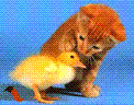 LionelLAT