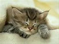 quyen_yeutinh