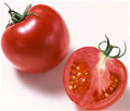 tomatotree