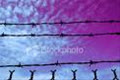 chantroitim_2012