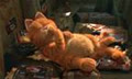 meo_luoi_tren_sofa