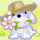 ch1p_nh0