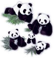 sontrang210
